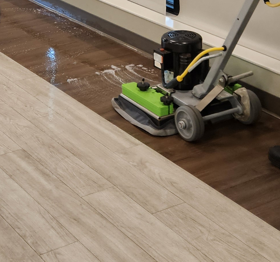LVT/LVP